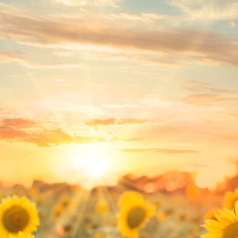 counselling, therapy, Thame, oxfordshire